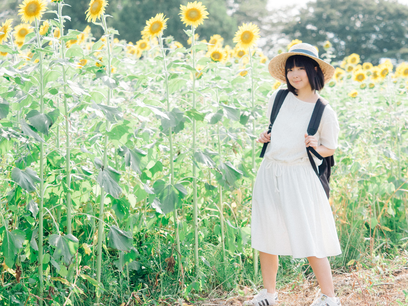 2019年後半に向けてひまわりよりも元気な彼女