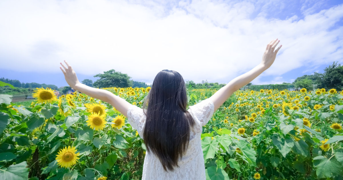 夏到来！ひまわりヤッホー