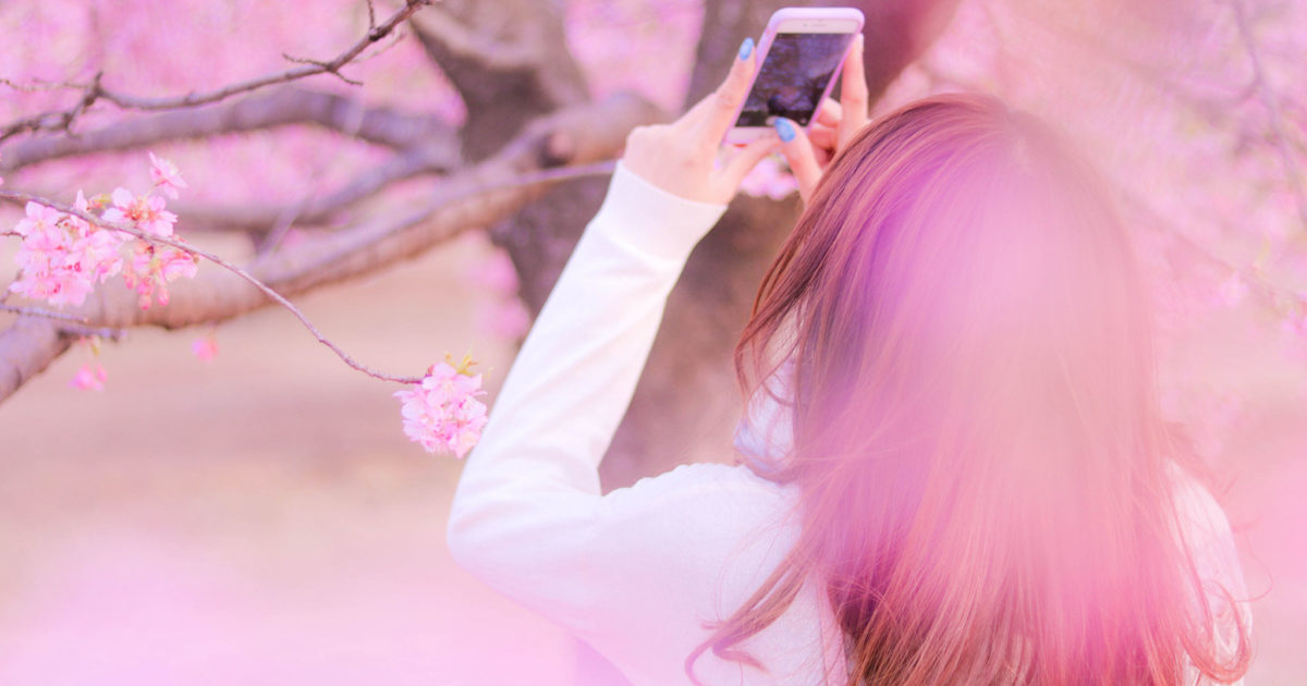 インスタにあげるべく、ぐぐっと背伸びして桜を撮影する女の子