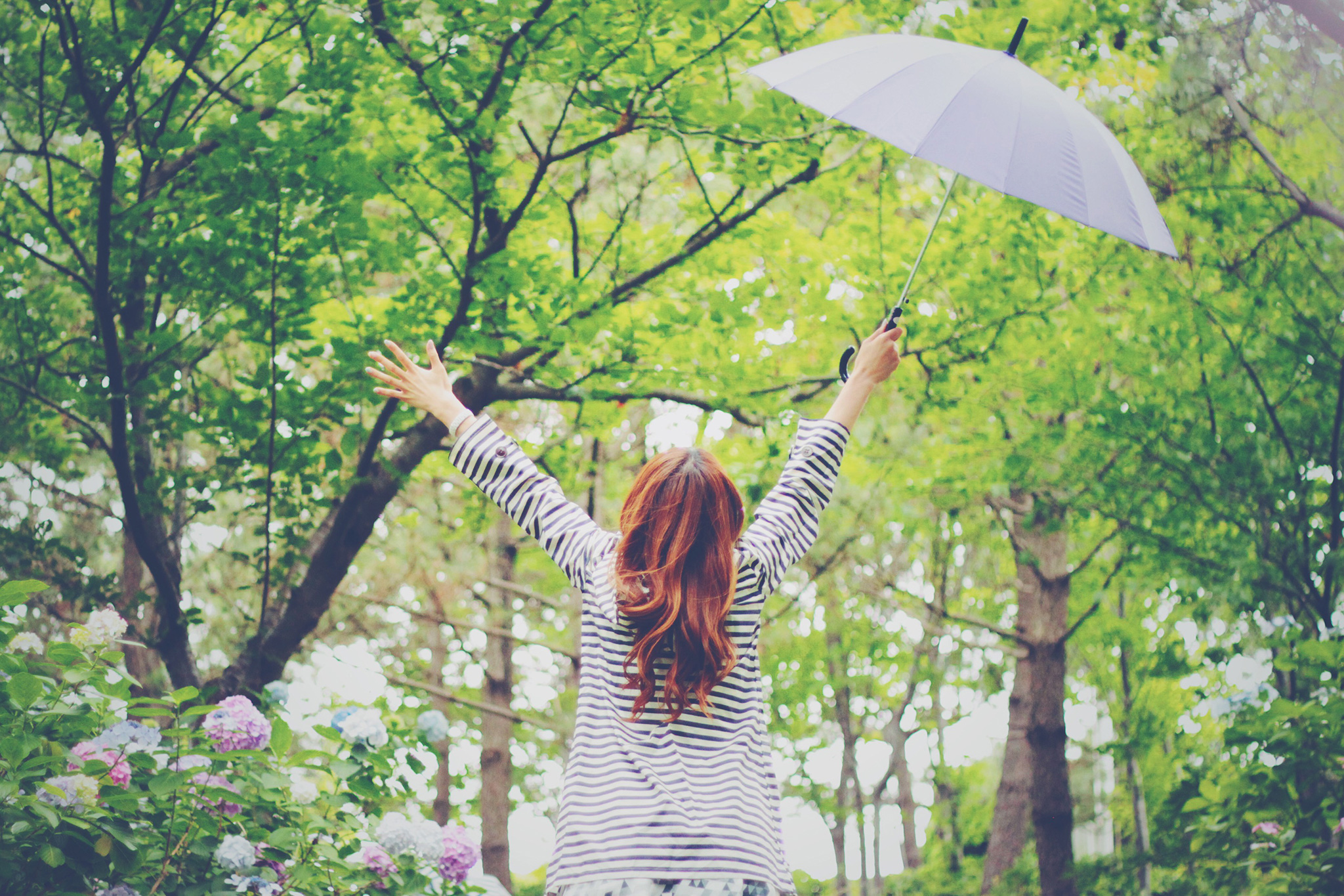 梅雨の真ん中で雨を止めようとする晴れ女