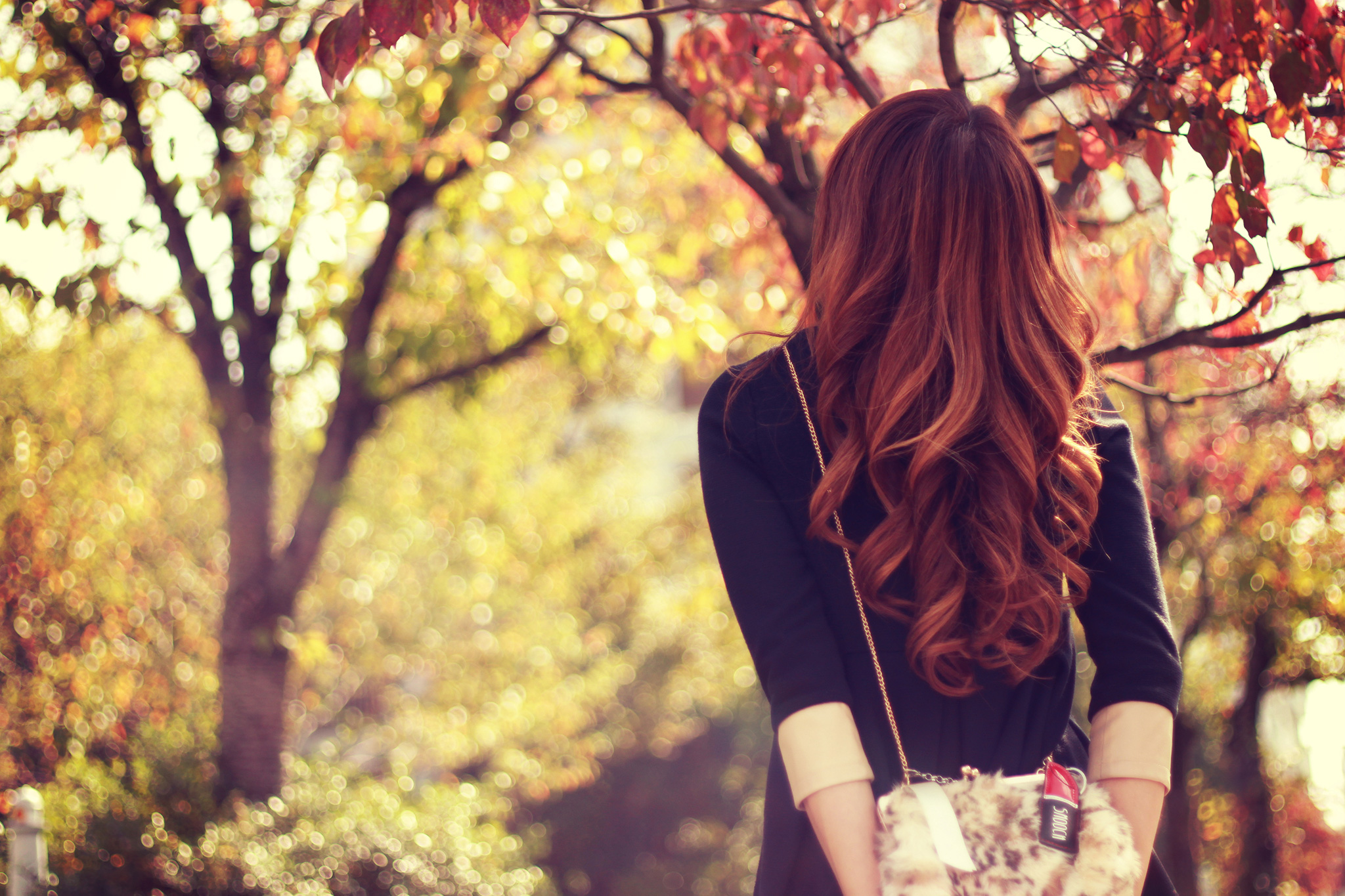 紅葉に見とれている秋の日の女の子